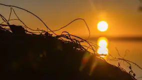 Wschód słońca nad jeziorem Dargin, most Sztynorcki, grudzień 2024 r. - zdjęcie 23