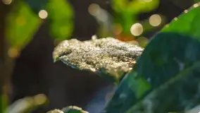 Zimowe mobilne biuro Mazury24, czyli Arek na biwaku, grudzień 2024 r. - zdjęcie 18