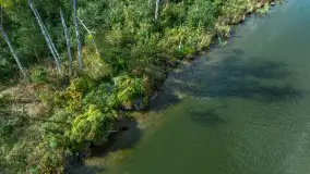 Kanał Jegliński z drona, wrzesień 2024 r. - zdjęcie 19