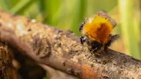 Mix mazurskich ujęć z szuflady, 2024 cz. II - zdjęcie 4