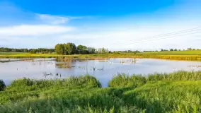 Mix mazurskich ujęć z szuflady, 2024 cz. II - zdjęcie 5