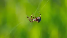 Mix mazurskich ujęć z szuflady, 2024 cz. II - zdjęcie 26