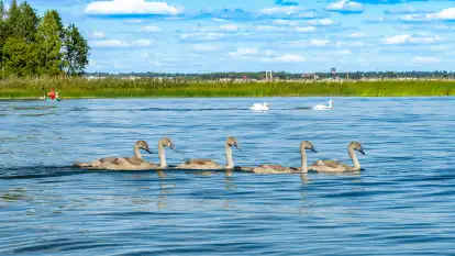 Mix mazurskich ujęć z szuflady, 2024 cz. II