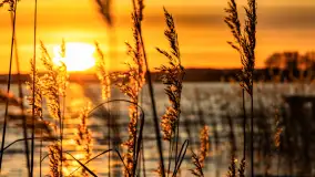 Zachód słońca nad jeziorem Tajty, styczeń 2025 r. - zdjęcie 3