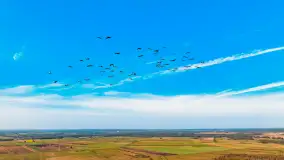 Mix mazurskich ujęć z szuflady, 2024 cz. III - zdjęcie 9