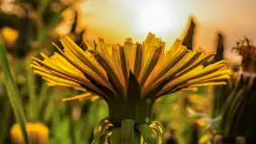 Mix mazurskich ujęć z szuflady, 2024 cz. III - zdjęcie 8