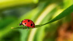 Mix mazurskich ujęć z szuflady, 2024 cz. III - zdjęcie 5