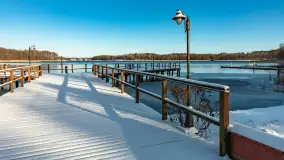 Łabędzi Ostrów w Pięknej Górze w zimowej aurze, styczeń 2025 r. - zdjęcie 3