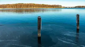 Łabędzi Ostrów w Pięknej Górze w zimowej aurze, styczeń 2025 r. - zdjęcie 12