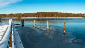 Łabędzi Ostrów w Pięknej Górze w zimowej aurze, styczeń 2025 r. - zdjęcie 7