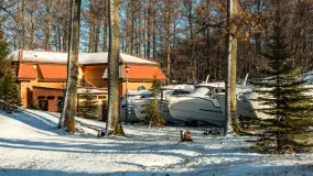 Łabędzi Ostrów w Pięknej Górze w zimowej aurze, styczeń 2025 r. - zdjęcie 6