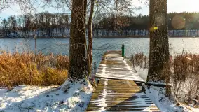 Łabędzi Ostrów w Pięknej Górze w zimowej aurze, styczeń 2025 r. - zdjęcie 35