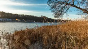 Łabędzi Ostrów w Pięknej Górze w zimowej aurze, styczeń 2025 r. - zdjęcie 26