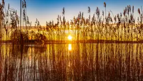 Wschód słońca nad jeziorem Święcajty w Kolonii Rybackiej - zdjęcie 31