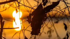 Wschód słońca nad jeziorem Święcajty w Kolonii Rybackiej - zdjęcie 43