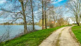 Jezioro Gawlik na początku później wiosny, maj 2021 r. - zdjęcie 8