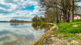 Jezioro Gawlik na początku później wiosny, maj 2021 r. - zdjęcie 19