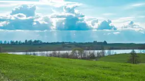 Wiosenne akcenty na mazurskich łąkach, maj 2021 r. - zdjęcie 5