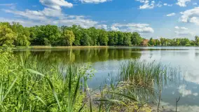 Wiosna w Kętrzynie, maj 2021 r. - zdjęcie 20