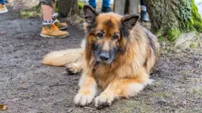 Fotorelacja PO-ŚRODKU Mazury24, dzień II - zdjęcie 41