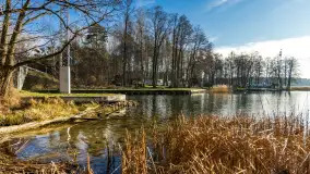 Kanał Kula i mazurska zima... bez śniegu, styczeń 2025 r. - zdjęcie 21