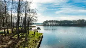 Kanał Kula i mazurska zima... bez śniegu, styczeń 2025 r. - zdjęcie 16