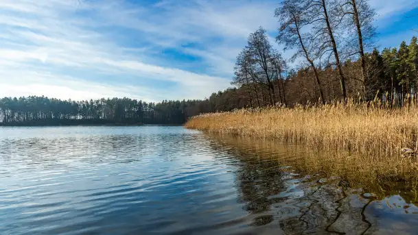 Kanał Kula i mazurska zima... bez śniegu, styczeń 2025 r. - zdjęcie 3