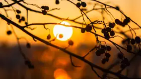 Zachód słońca nad jeziorem Okrągłym, luty 2025 r. - zdjęcie 10