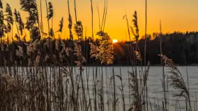 Zachód słońca nad jeziorem Skarż Wielki, luty 2025 r. - zdjęcie 3