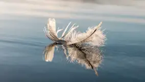 Popołudnie nad jeziorem Kisajno przy Pierkunowie, styczeń 2025 r. - zdjęcie 4