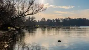 Popołudnie nad jeziorem Kisajno przy Pierkunowie, styczeń 2025 r. - zdjęcie 30