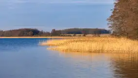 Popołudnie nad jeziorem Kisajno przy Pierkunowie, styczeń 2025 r. - zdjęcie 5