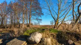 Popołudnie nad jeziorem Kisajno przy Pierkunowie, styczeń 2025 r. - zdjęcie 2