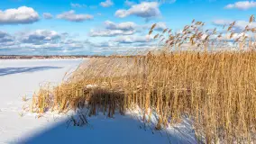 Niedzielne, zimowe popołudnie w Wilkasach nad Niegocinem, luty 2025 r. - zdjęcie 9