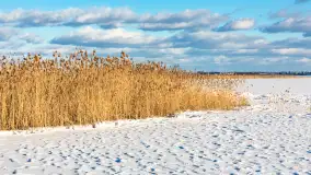 Niedzielne, zimowe popołudnie w Wilkasach nad Niegocinem, luty 2025 r. - zdjęcie 34