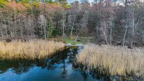 Pole namiotowe Flosek nad jeziorem Bełdany, luty 2025 r. - zdjęcie 8