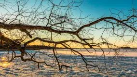 Jezioro Dargin przed zachodem słońca, luty 2025 r. - zdjęcie 12