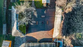 Tło dla mew w okowach zimy... ale bez śniegu, styczeń 2025 r. - zdjęcie 18