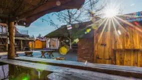 Tło dla mew w okowach zimy... ale bez śniegu, styczeń 2025 r. - zdjęcie 14