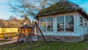 Tło dla mew w okowach zimy... ale bez śniegu, styczeń 2025 r. - zdjęcie 6