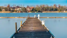 Tło dla mew w okowach zimy... ale bez śniegu, styczeń 2025 r. - zdjęcie 21