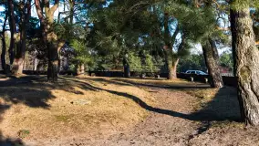 Cmentarz wojenny Jagerhohe zimą... ale bez śniegu, luty 2025 r. - zdjęcie 10