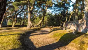 Cmentarz wojenny Jagerhohe zimą... ale bez śniegu, luty 2025 r. - zdjęcie 14