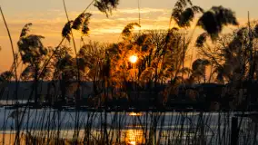 Zachód słońca nad zatoką Tracz, jezioro Kisajno, Giżycko - zdjęcie 19