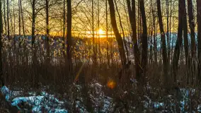 Zachód słońca nad jeziorem Kisajno, Piękna Góra, luty 2025 r. - zdjęcie 23