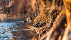 Zachód słońca nad jeziorem Mamry, Zwierzyniecki Róg, marzec 2025 r. - zdjęcie 20