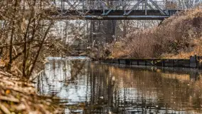 Przedwiośnie w Węgorzewie nad kanałem Młyńskim, marzec 2025 r. - zdjęcie 20