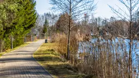 Przedwiośnie w Węgorzewie nad kanałem Młyńskim, marzec 2025 r. - zdjęcie 28