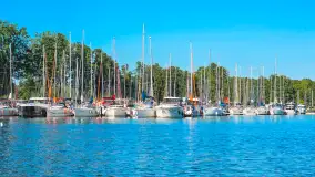 Wspominki sezonu 2023 na zdjęciach z telefonu, cz. II - zdjęcie 2