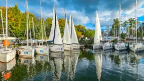 Wspominki sezonu 2023 na zdjęciach z telefonu, cz. II - zdjęcie 15